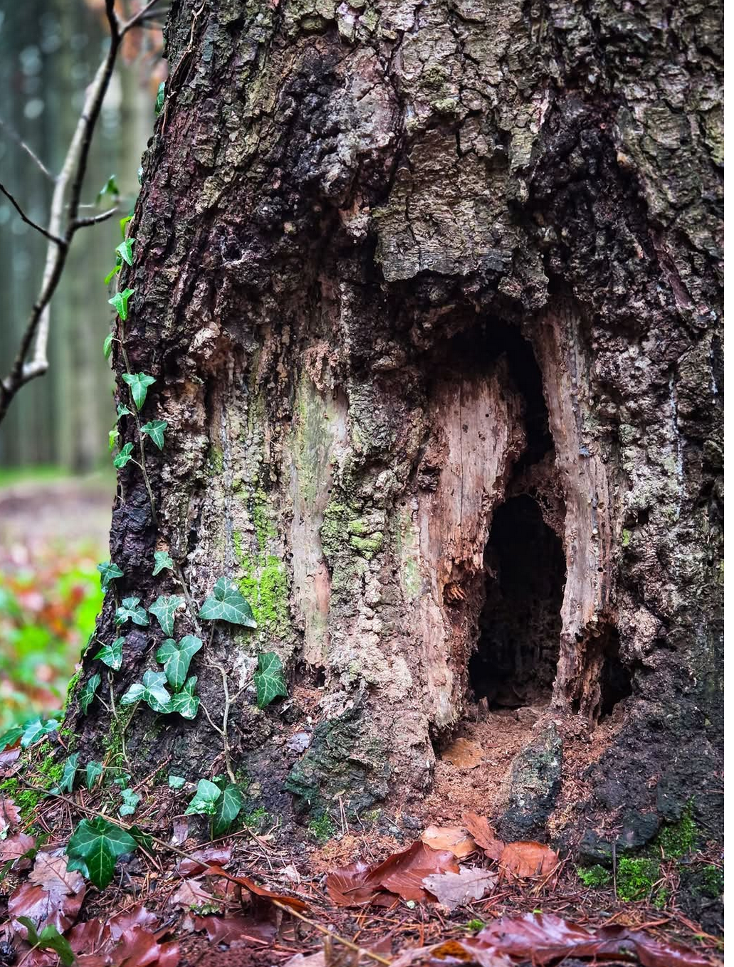 Fast könnte man meinen das wäre eine Elfenwohnung